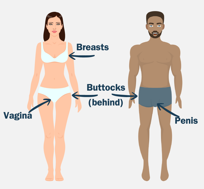 A man and woman standing in their underwear. There are arrows putting to their breasts, vagina, penis, and buttocks.