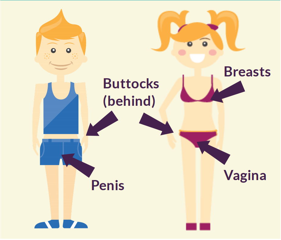 Arrows point to private parts on a boy and girl (buttocks and penis on boy; buttocks, breasts, and vagina on girl).