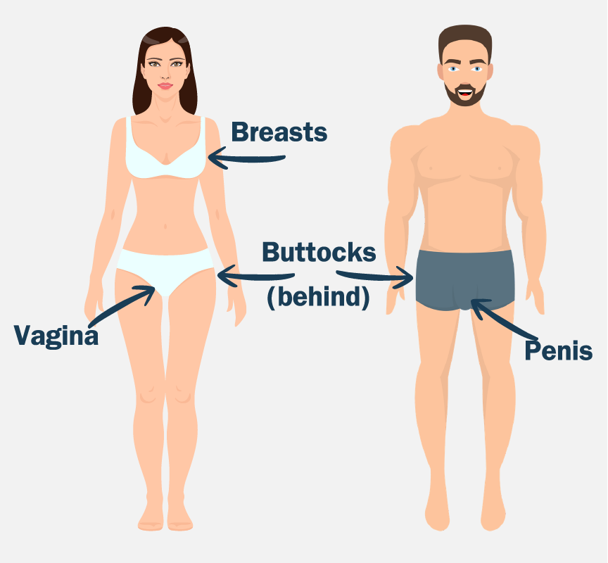 A woman wearing a two-piece bathing suit, and a man wearing a bathing suits. There are arrows pointing to breasts, vagina, buttocks or behind, and penis.