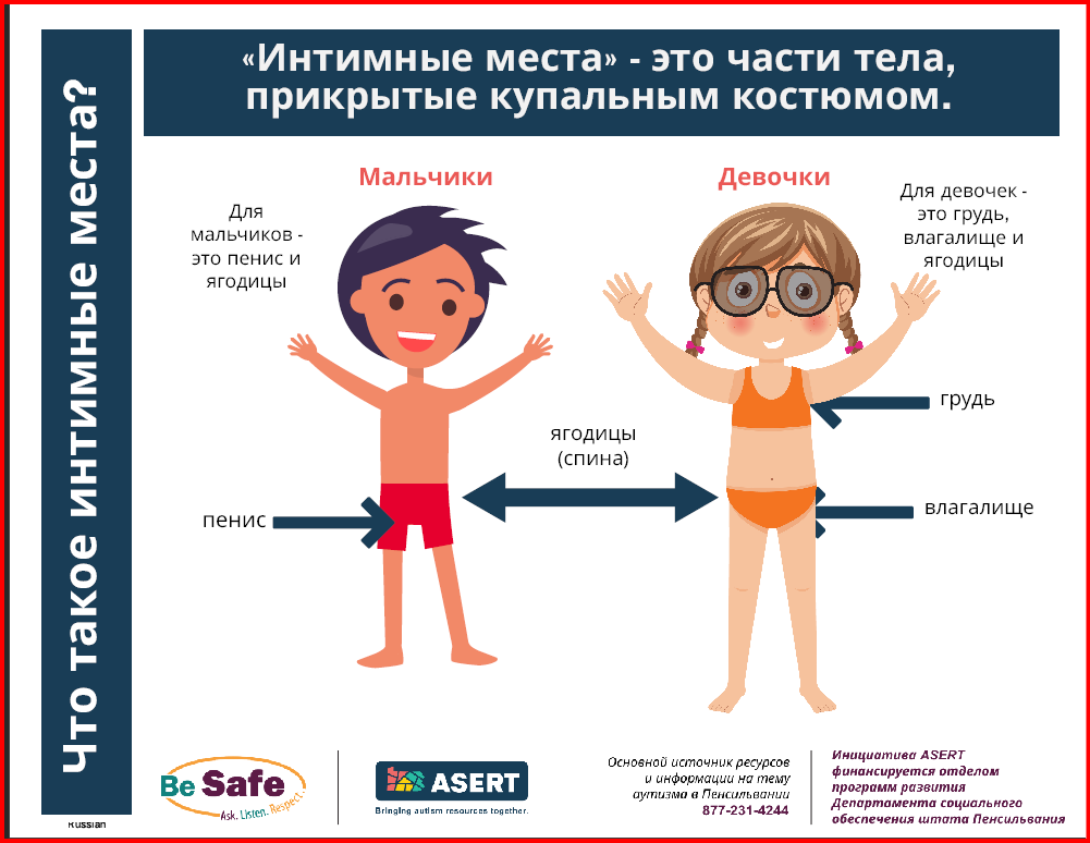 Graphic of a boy and a girl with their private parts labled.