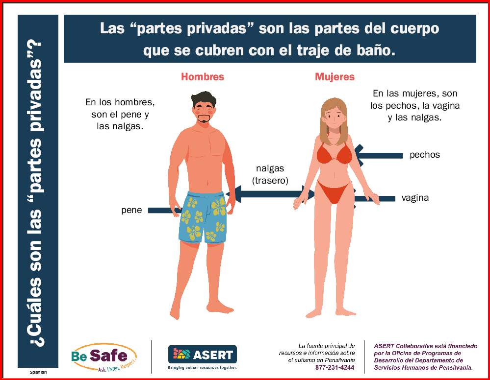 Graphic of a man an a woman with their private parts labeled, in Spanish.