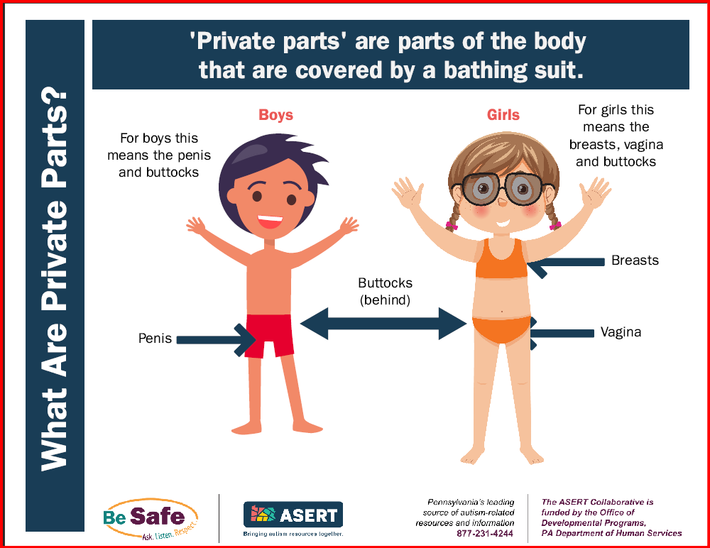 Graphic of a boy and a girl with their private parts labled.
