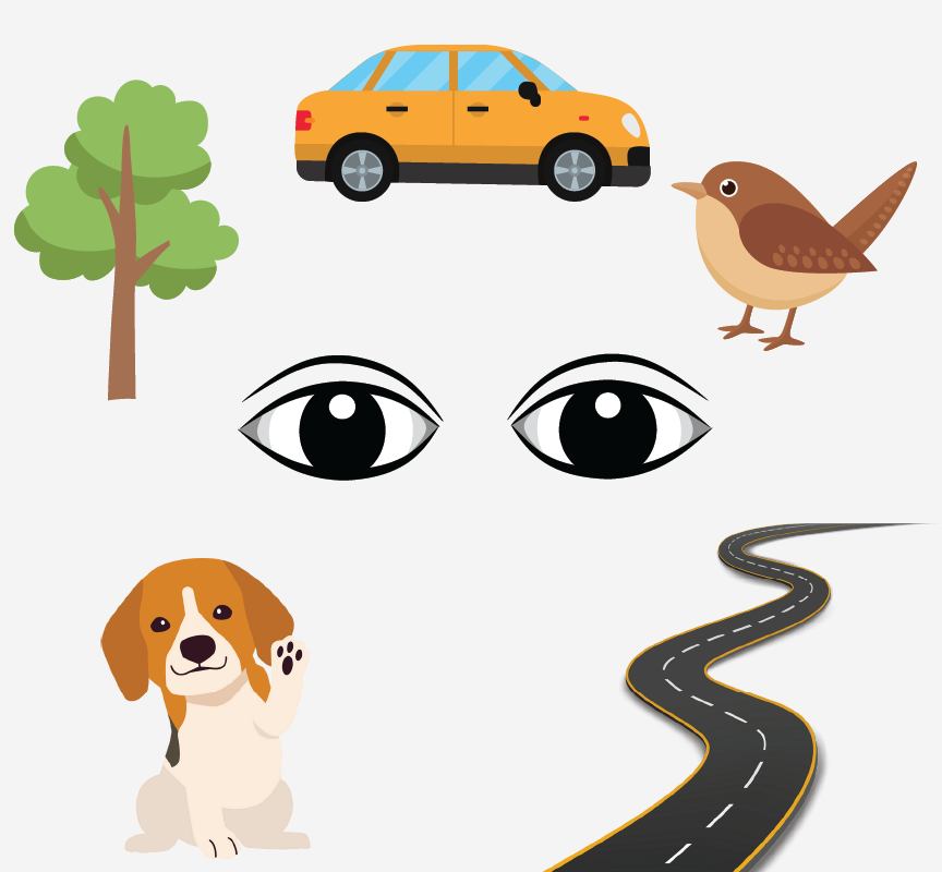 Image of a pair of eyes looking at a tree, car, bird, dog, and road.