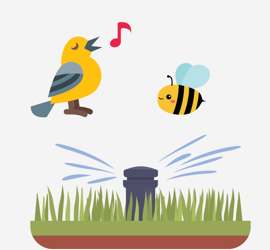 Images of a signing bird, a bee, and a water sprinkler.