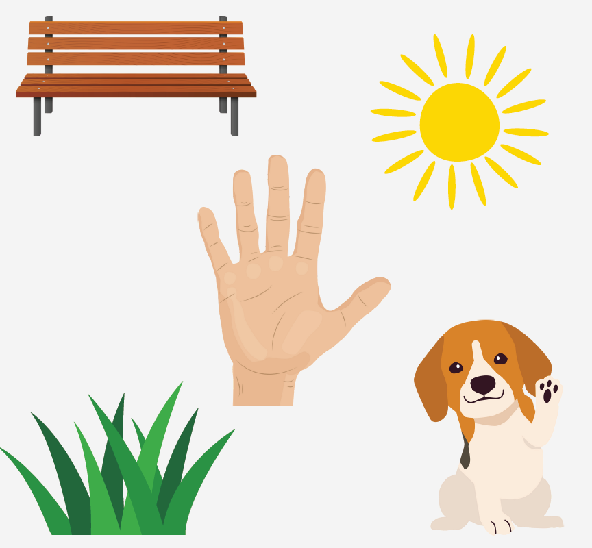 Image of a hand, bench, sun, grass, and dog.