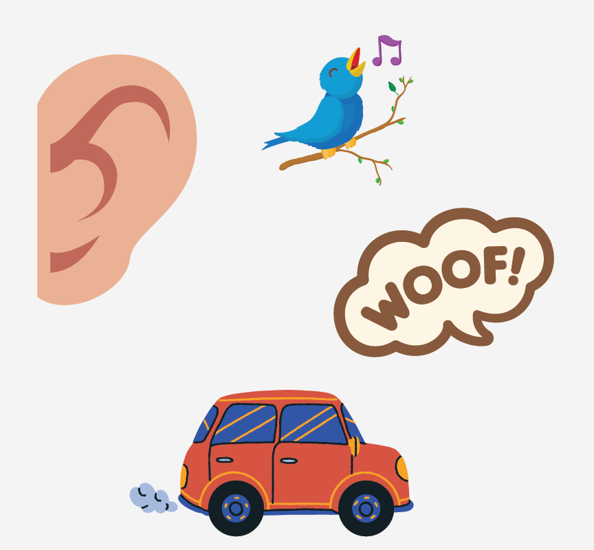 Image of an ear listening to a bird singing, a dog barking, 