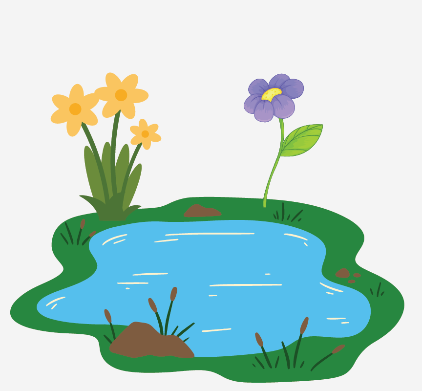 Image of flowers around a pond.