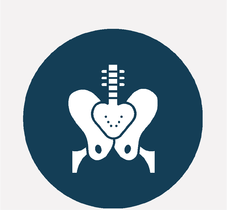 Pelvic bones.