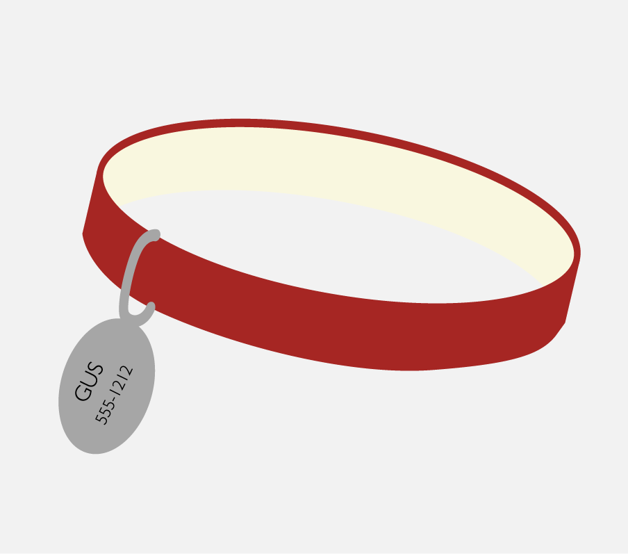 A dog collar with name and phone number.