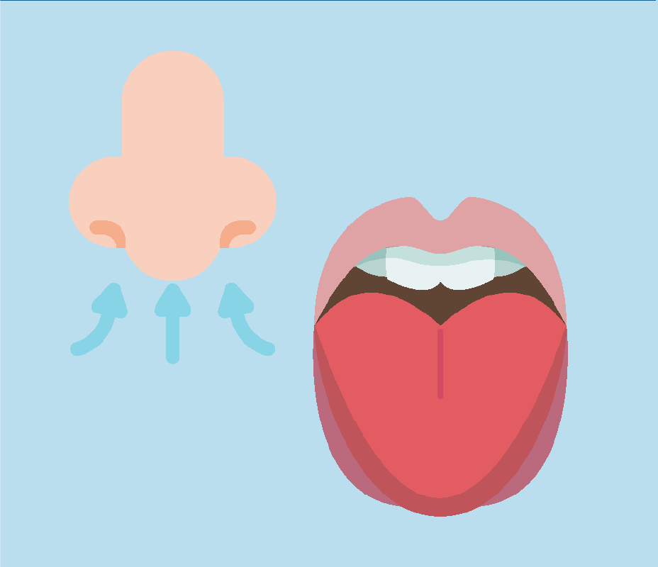 Cartoon of a nose breathing and a mouth tasting.