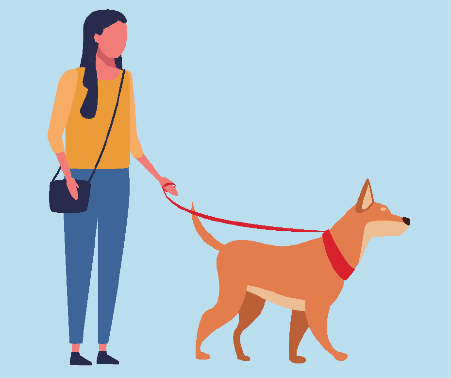 Cartoon of a woman walking her dog.