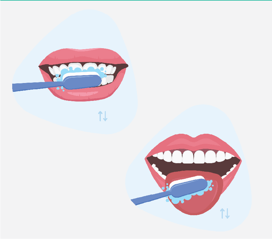 Graphic of someone brushing their teeth and tongue.